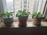 郑州家电维修服务
